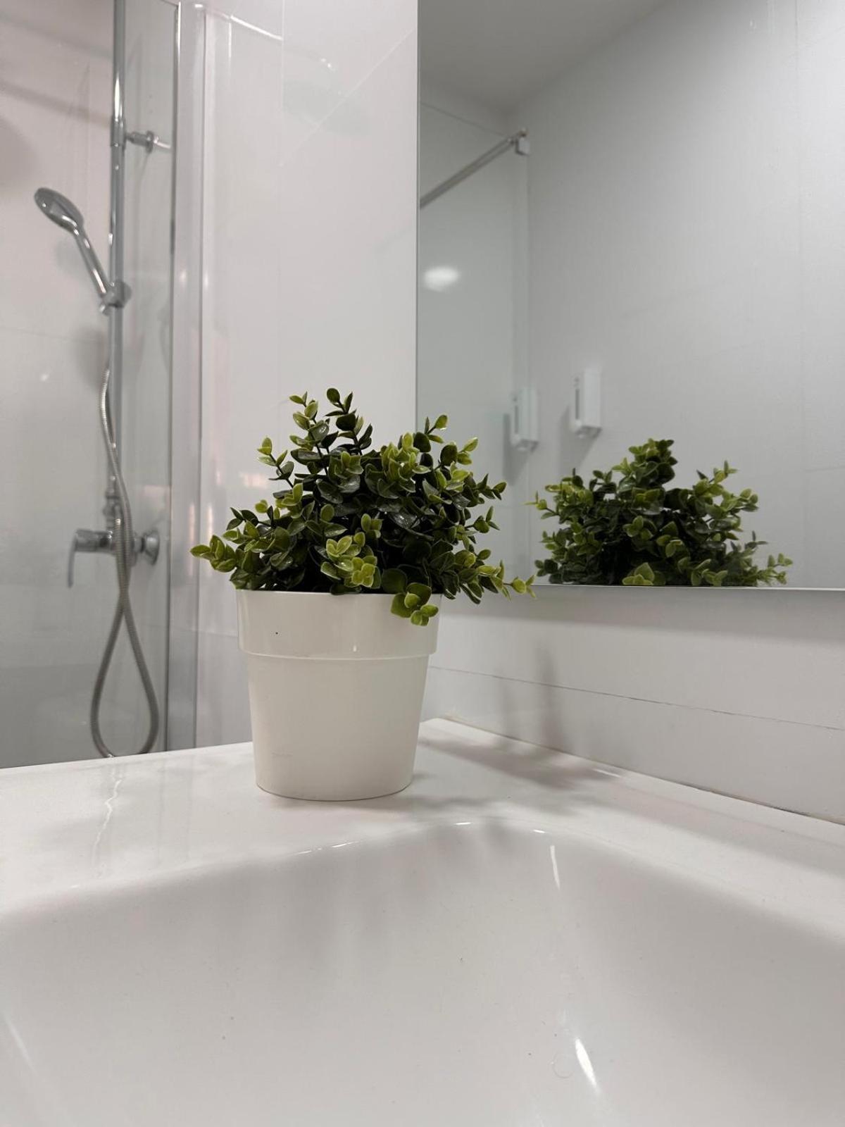 Apartaestudio Muy Proximo Valencia برجست المظهر الخارجي الصورة